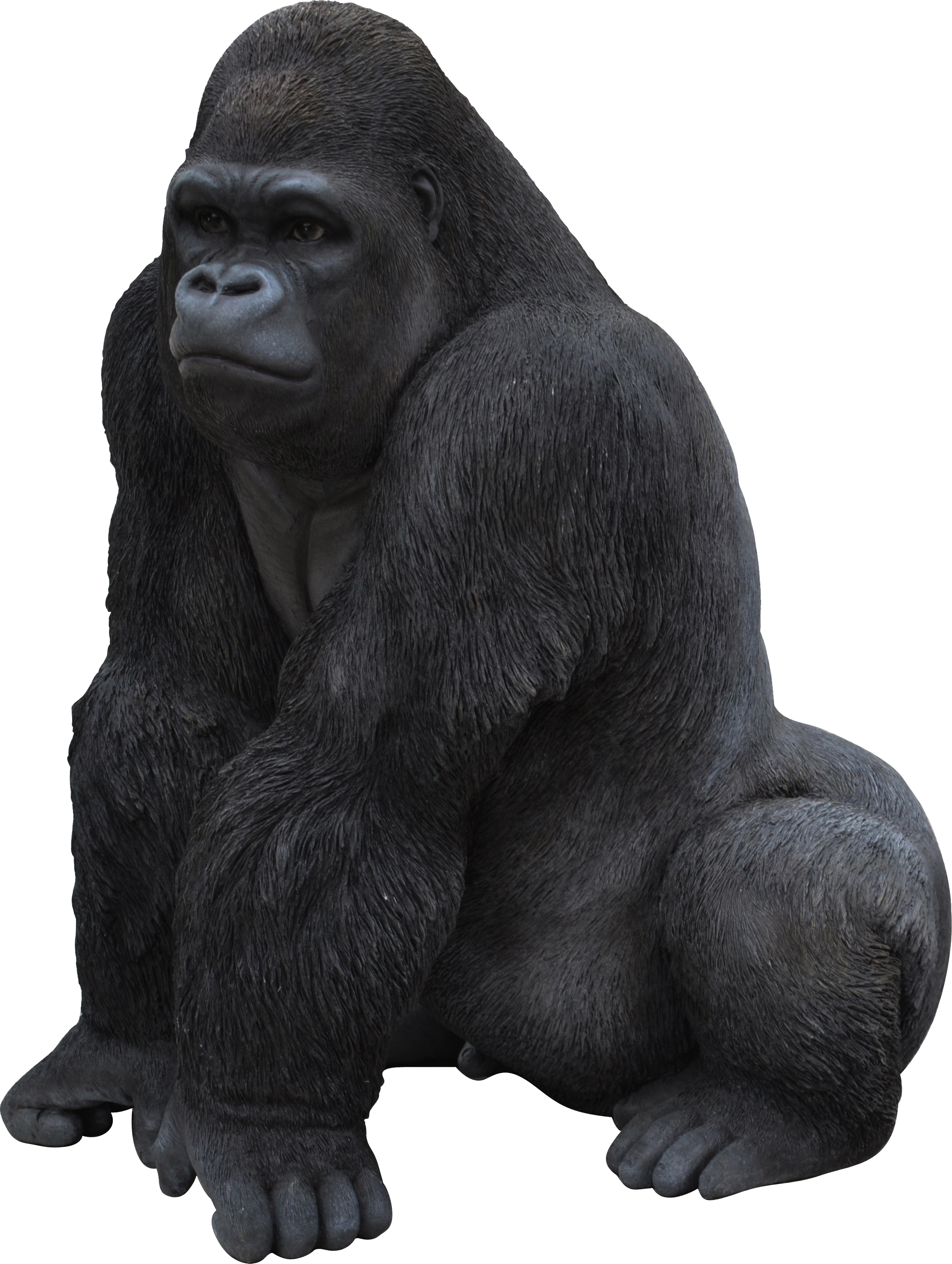Gorilla Png Clipart PNG Image