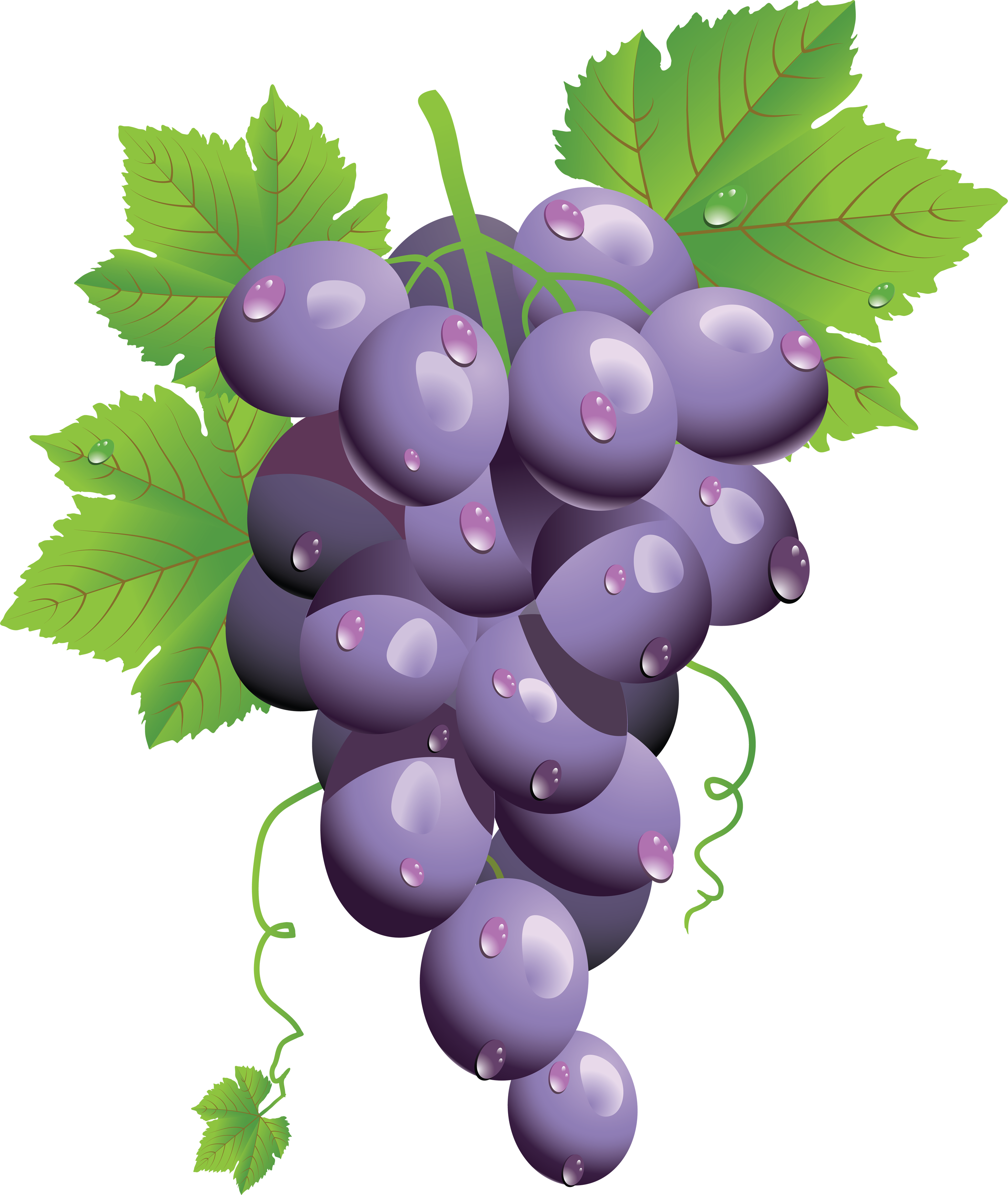 Grape PNG - 5226
