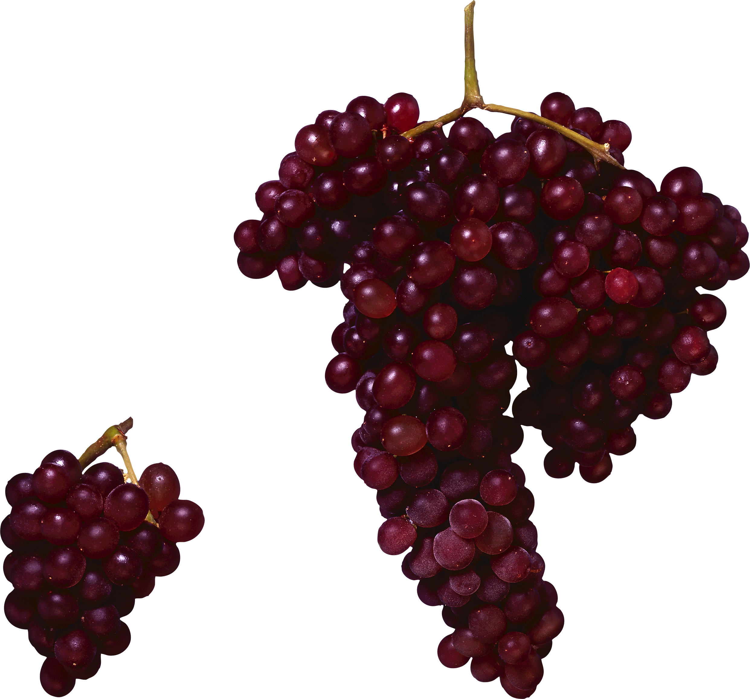 Grape Vine PNG HD Free - 121228