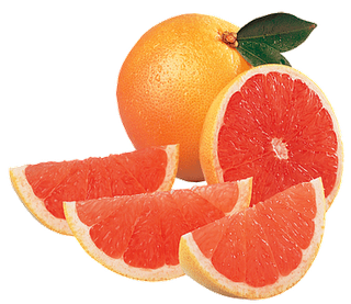 Grapefruit HD PNG - 94600
