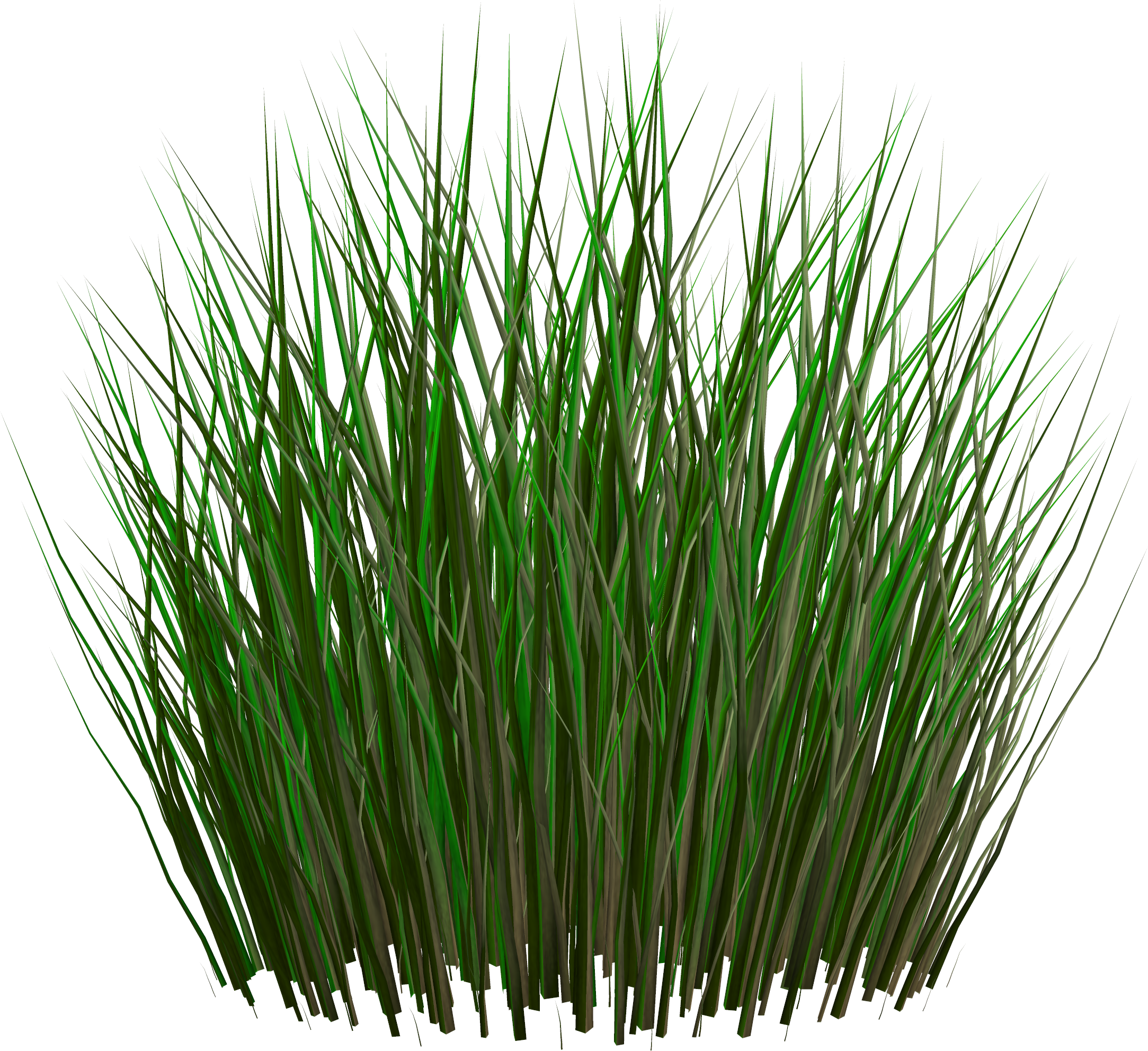 Grass PNG Clipart Picture