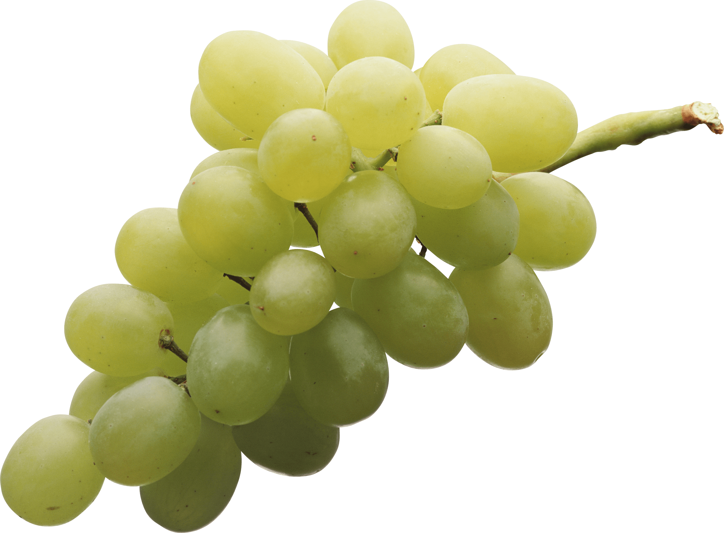 Grape PNG - 5224