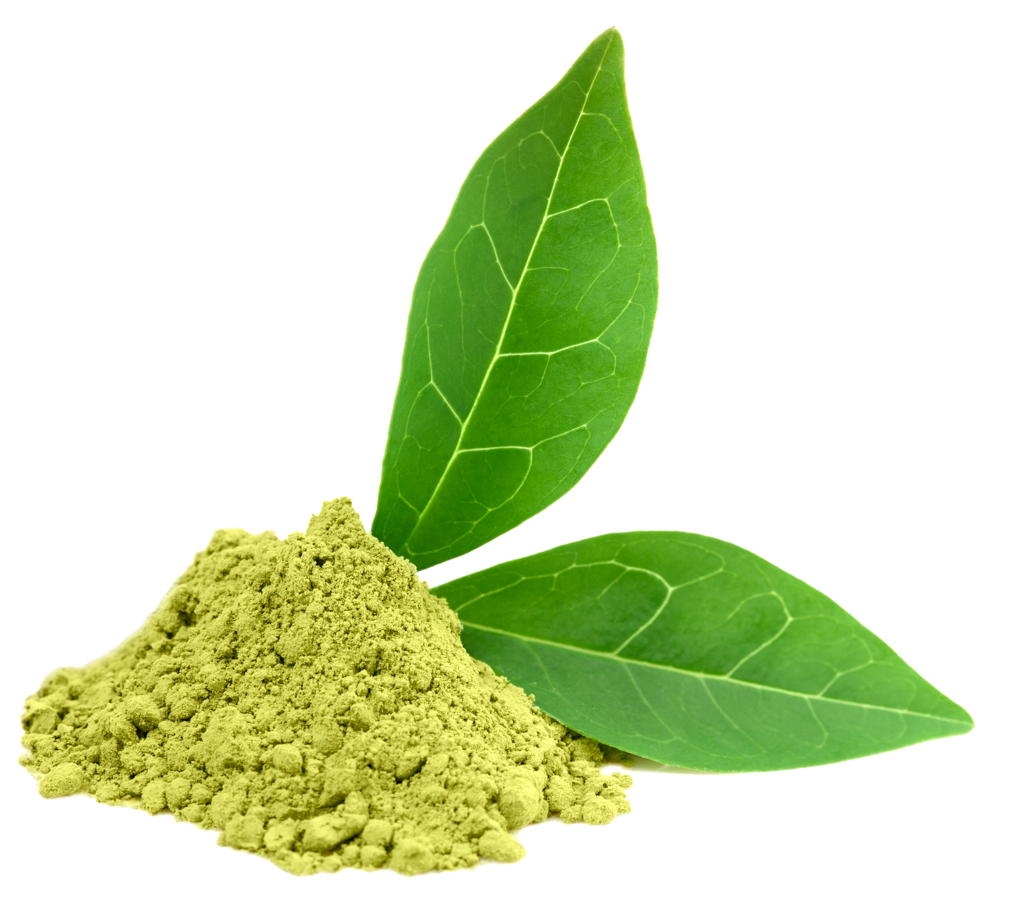 Green Tea PNG - 23621