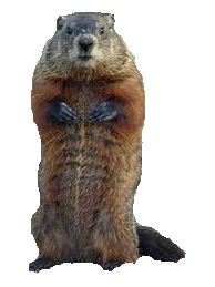 Groundhog painted, Animal, Gr
