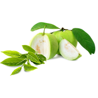 Guava PNG - 15958