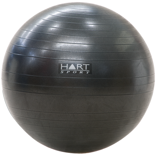 Gym Ball PNG - 15730
