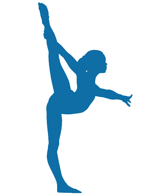 Gymnastics PNG Flip - 63724
