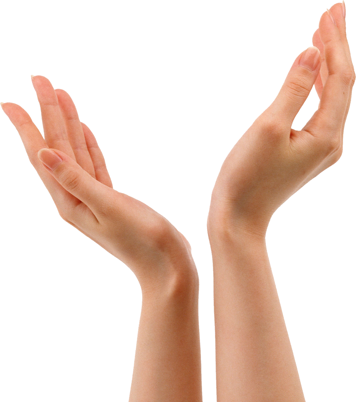 Hands Png 9 PNG Image