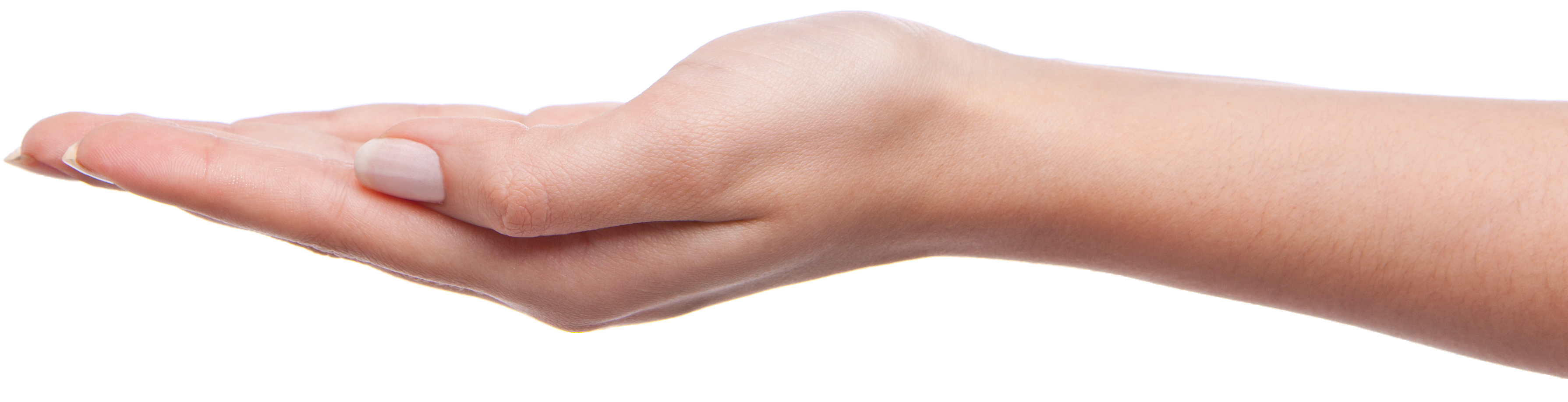 hand.png (440×395)