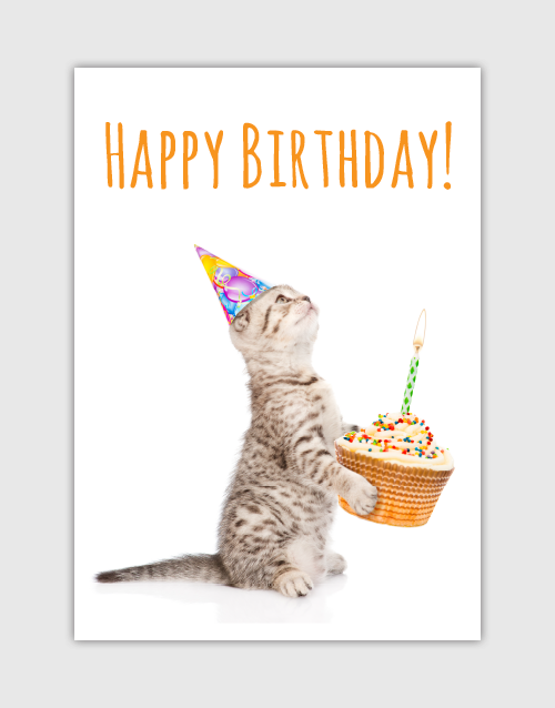 Happy Birthday PNG With Cats - 142875