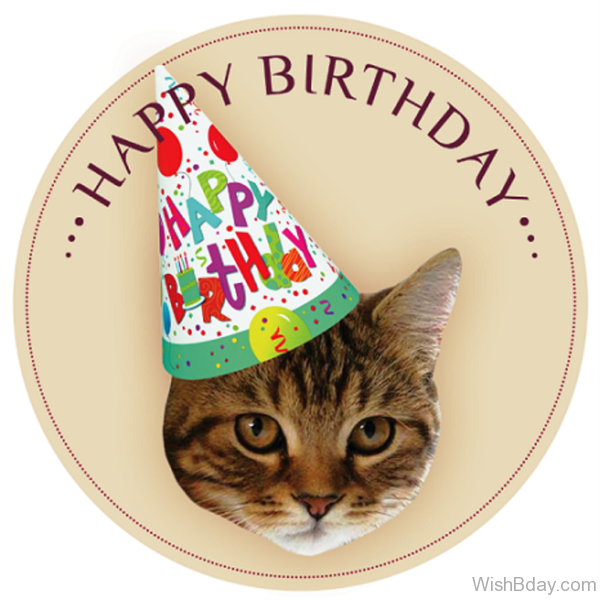 Happy Birthday PNG With Cats - 142872