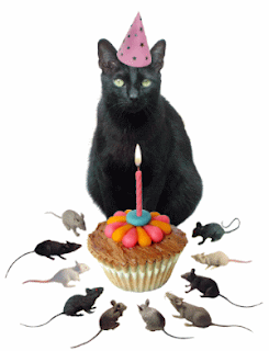 Happy Birthday PNG With Cats - 142873