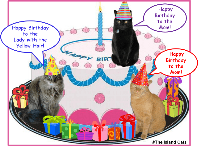 Happy Birthday PNG With Cats - 142881