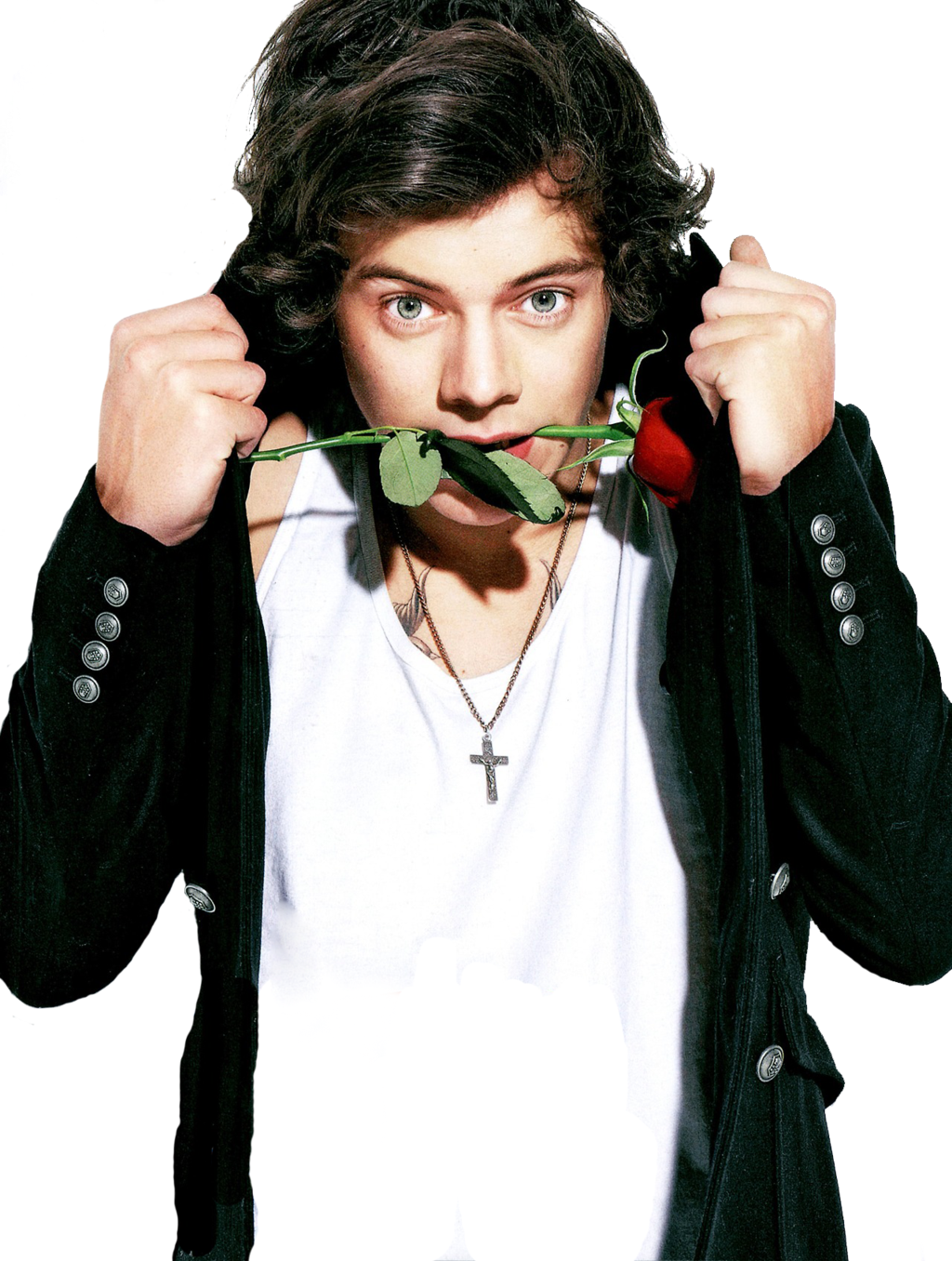 Harry Styles PNG - 58218