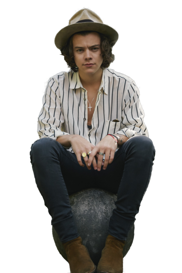 Harry Styles PNG - 58213