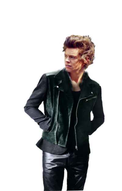 Harry Styles PNG - 58217