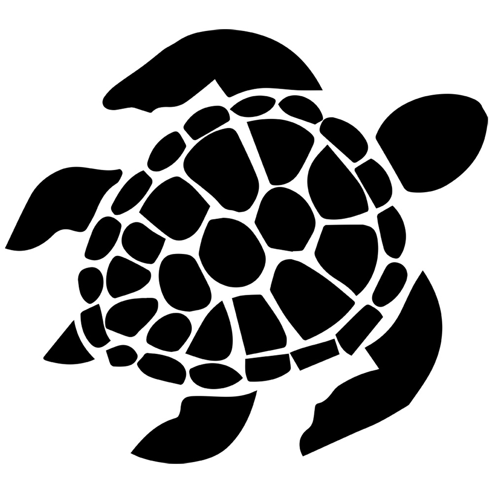 Hawaiian Turtle PNG - 50839