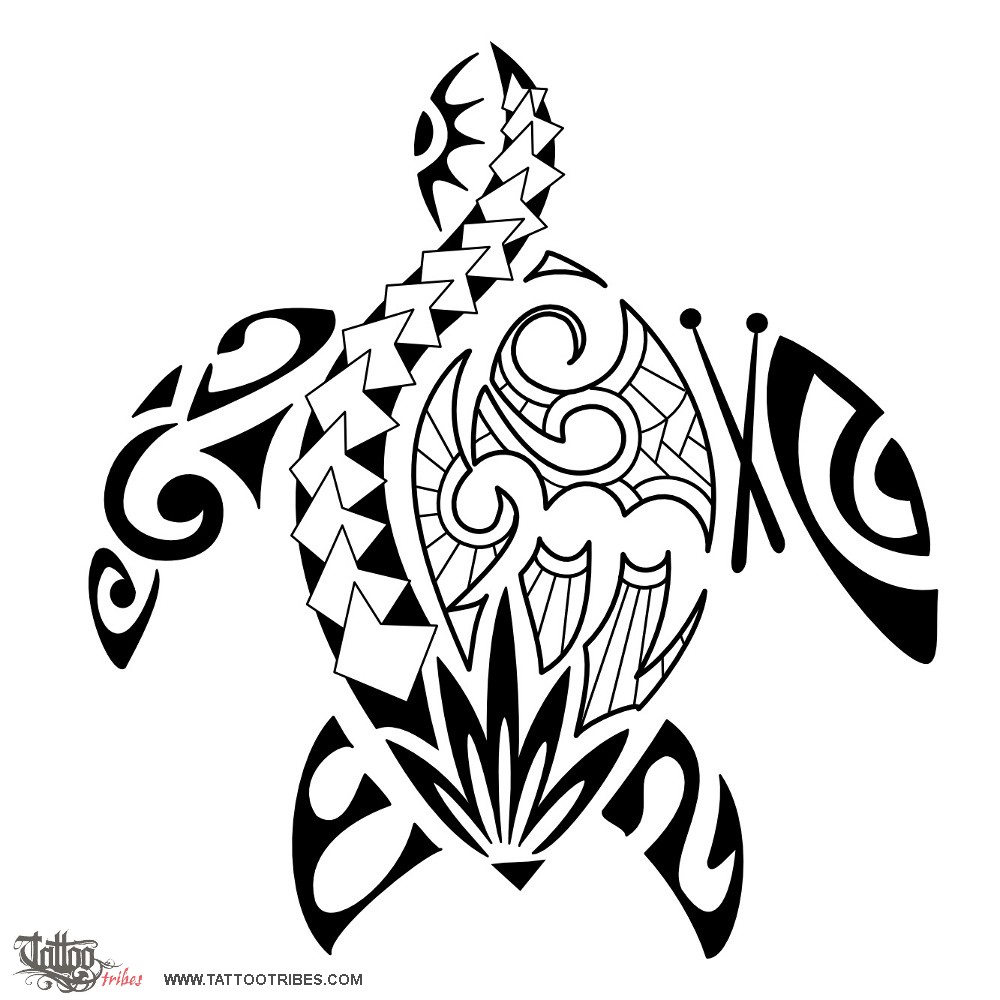 Hawaiian Turtle PNG - 50847