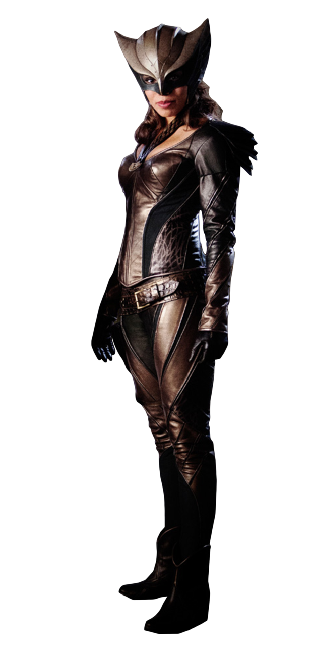 Hawkgirl PNG - 26575