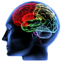 causes of brain injury