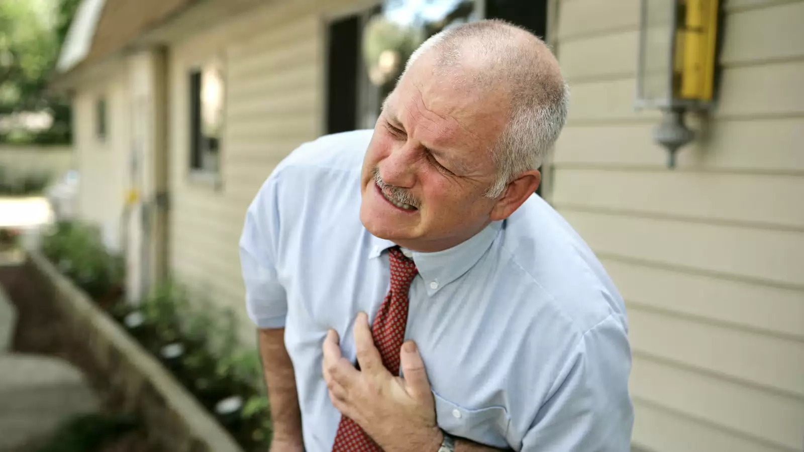 Demi Lovato Heart Attack Remi