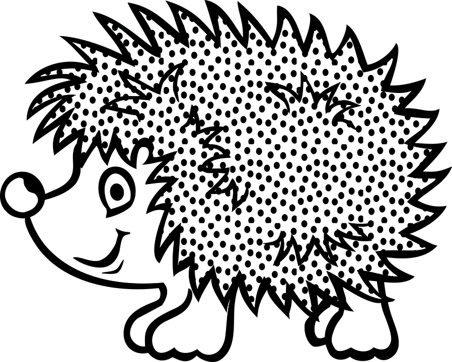 Hedgehog PNG Black And White - 48655