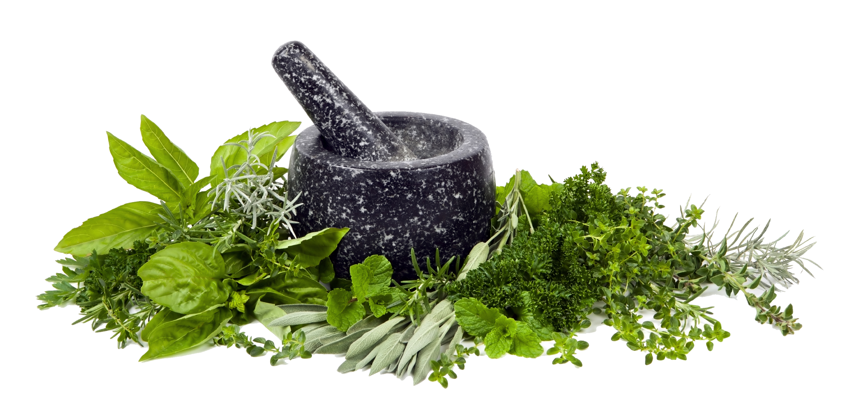 Herbs PNG Photo