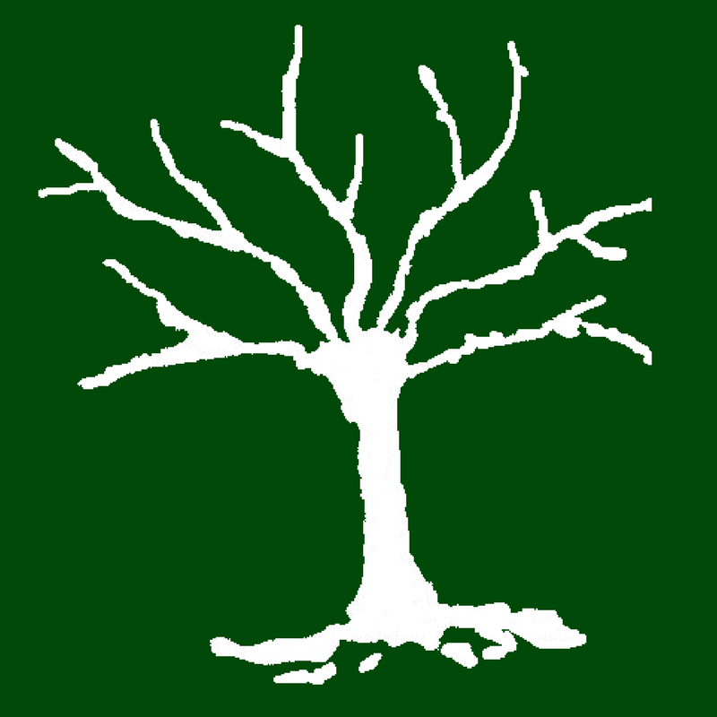 Hippie Tree PNG - 165207