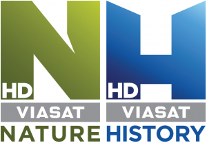 History HD PNG - 89393