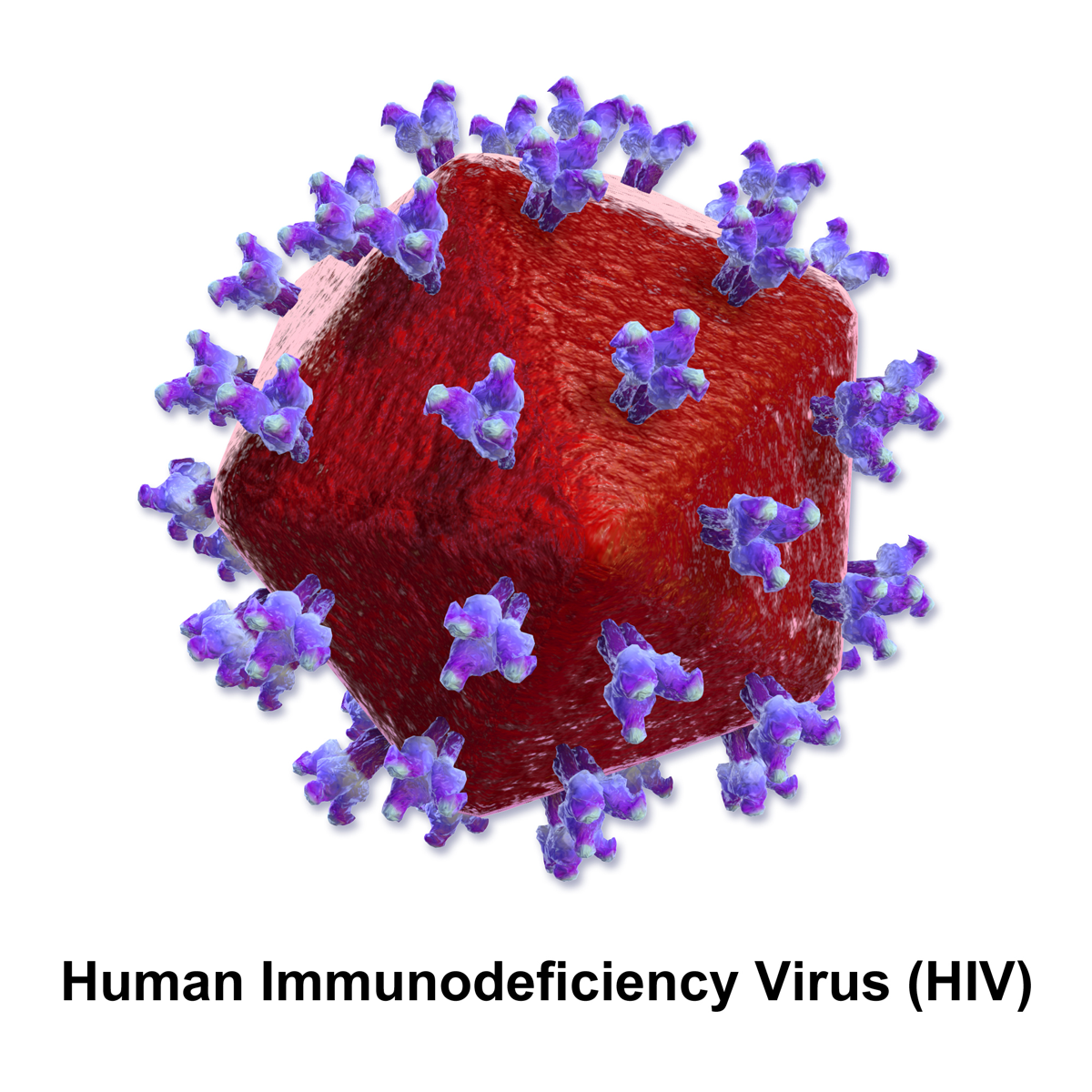Hiv PNG - 47637