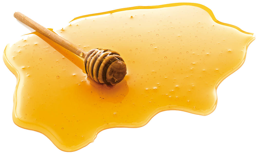 Honey PNG - 26121