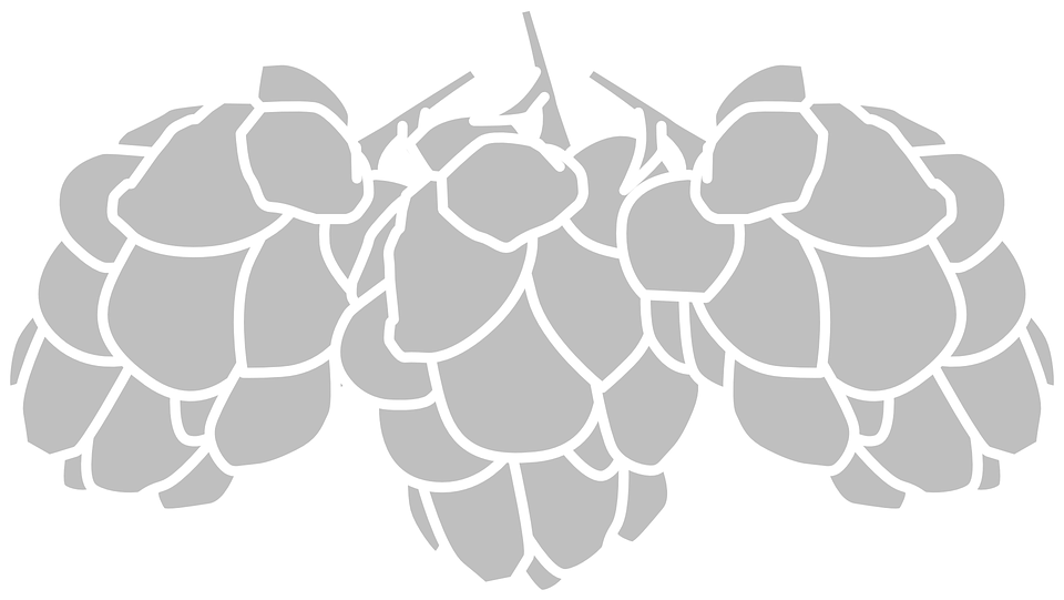 Hop PNG Black And White - 146389