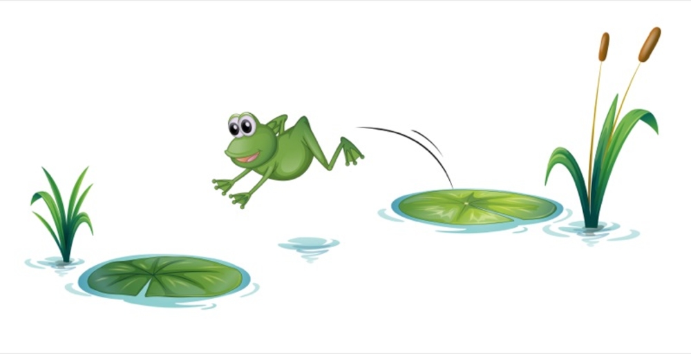 Hopping Frog PNG - 69473