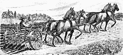 Horse And Plow PNG - 169453
