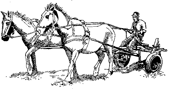 Horse And Plow PNG - 169448