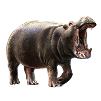 Hippopotamus PNG - 5119