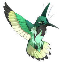 Hummingbird PNG - 9882