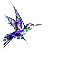 Hummingbird PNG - 9872