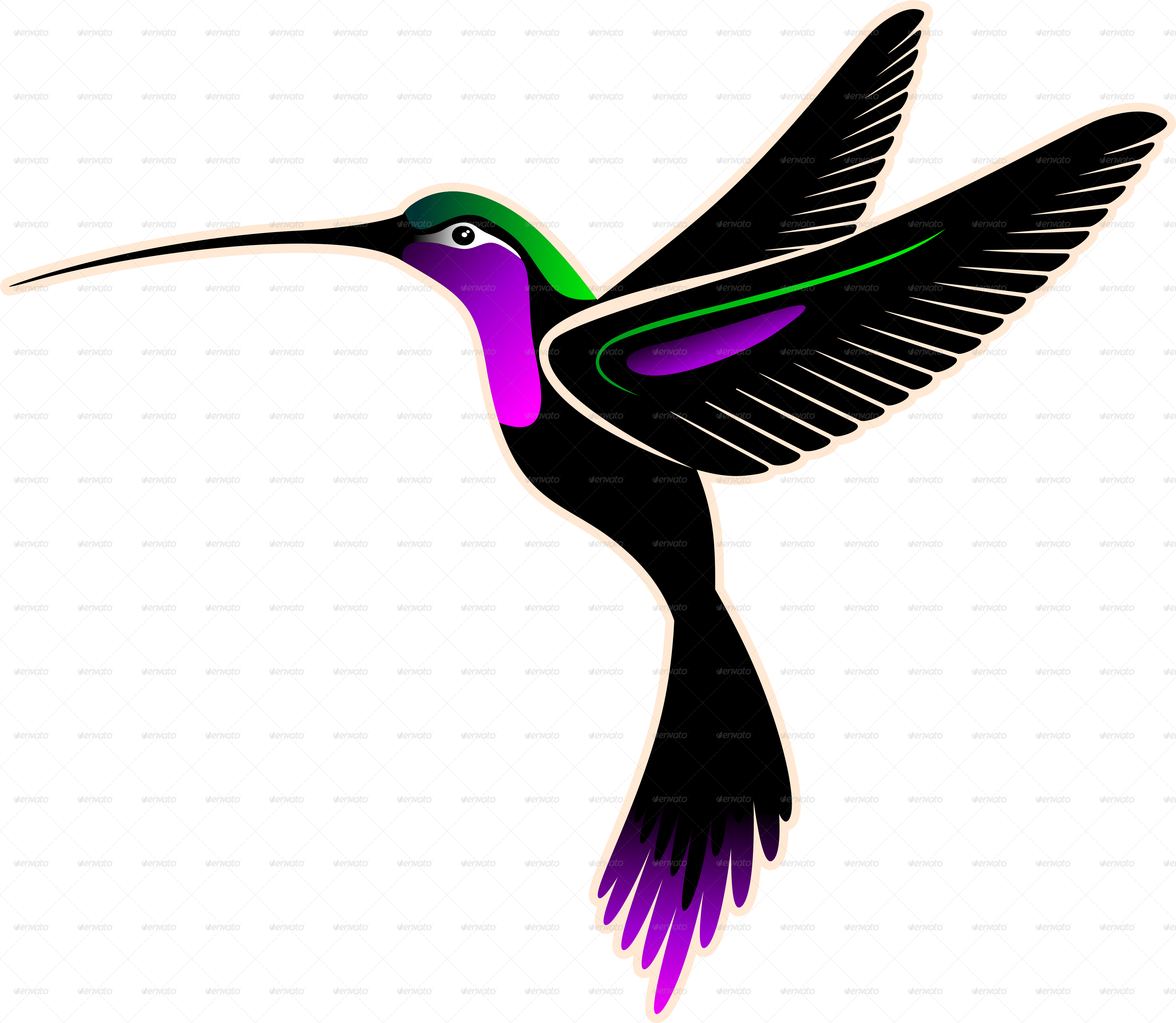 Hummingbird PNG - 9884