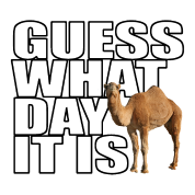 Hump Day, Memes, and Guess: e