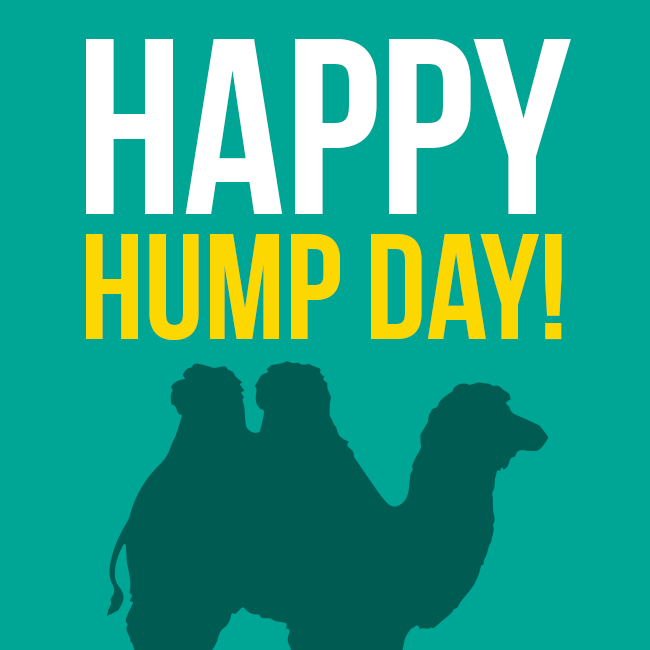 Hump Day PNG HD - 147619