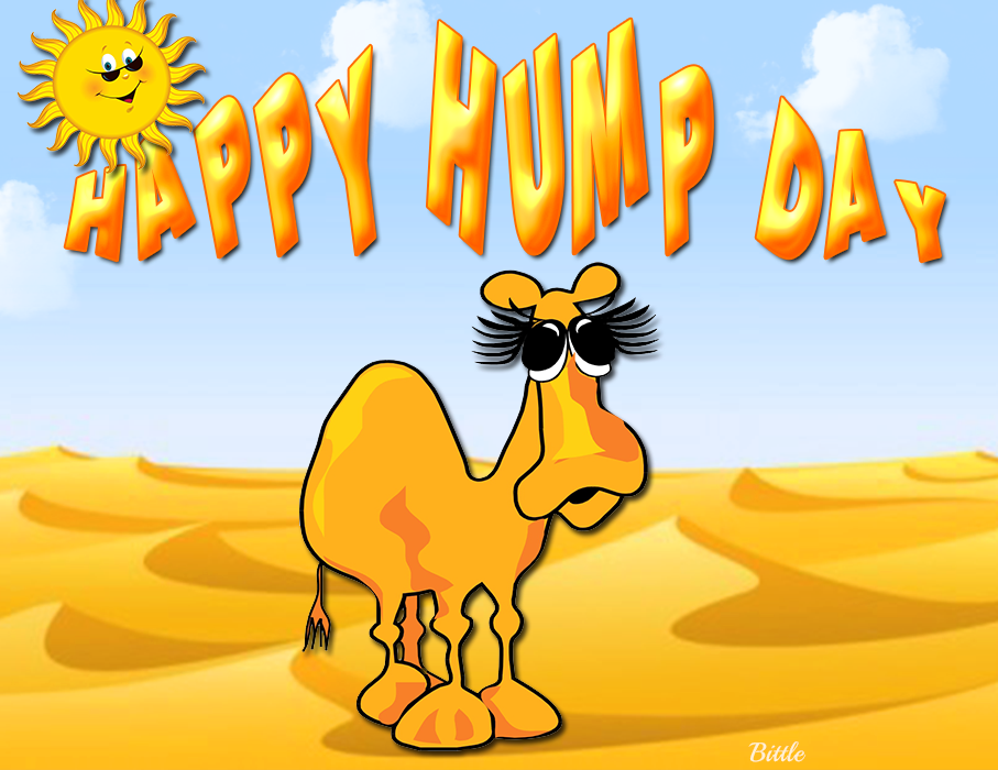 Hump Day PNG HD - 147623.