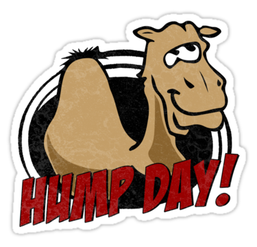 Hump Day PNG HD - 147612