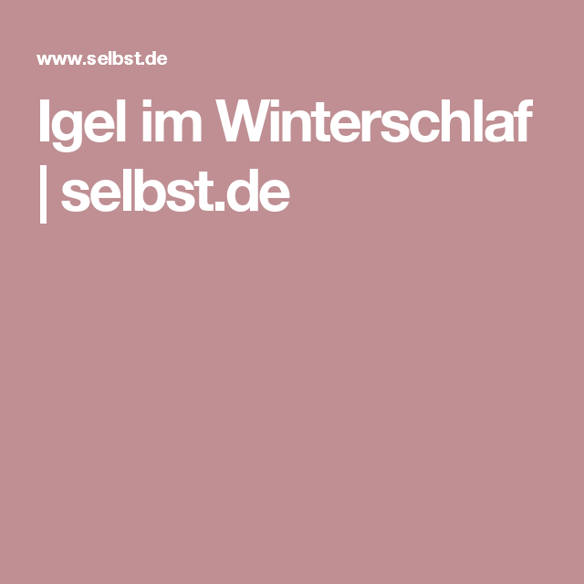 Igel Winterschlaf PNG - 49162