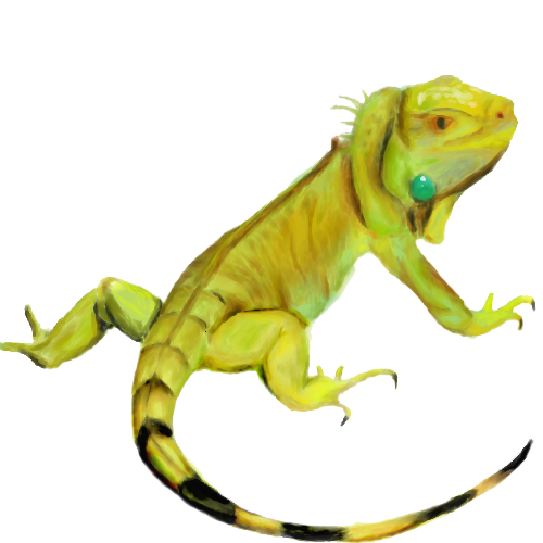 Iguana pet silhouette png
