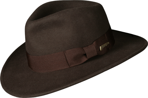 Hat, Fedora, Brown, Indiana J