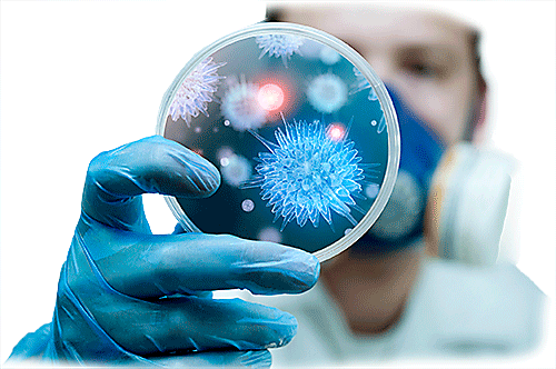 Infectious Disease PNG - 51323