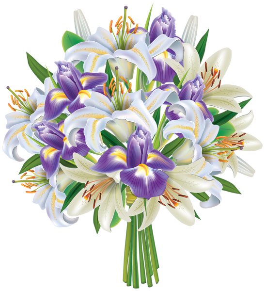 Iris Flower PNG HD - 138977