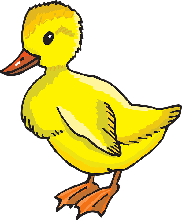transparent duck clipart