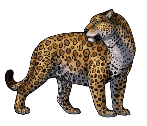 image jaguar png in this page